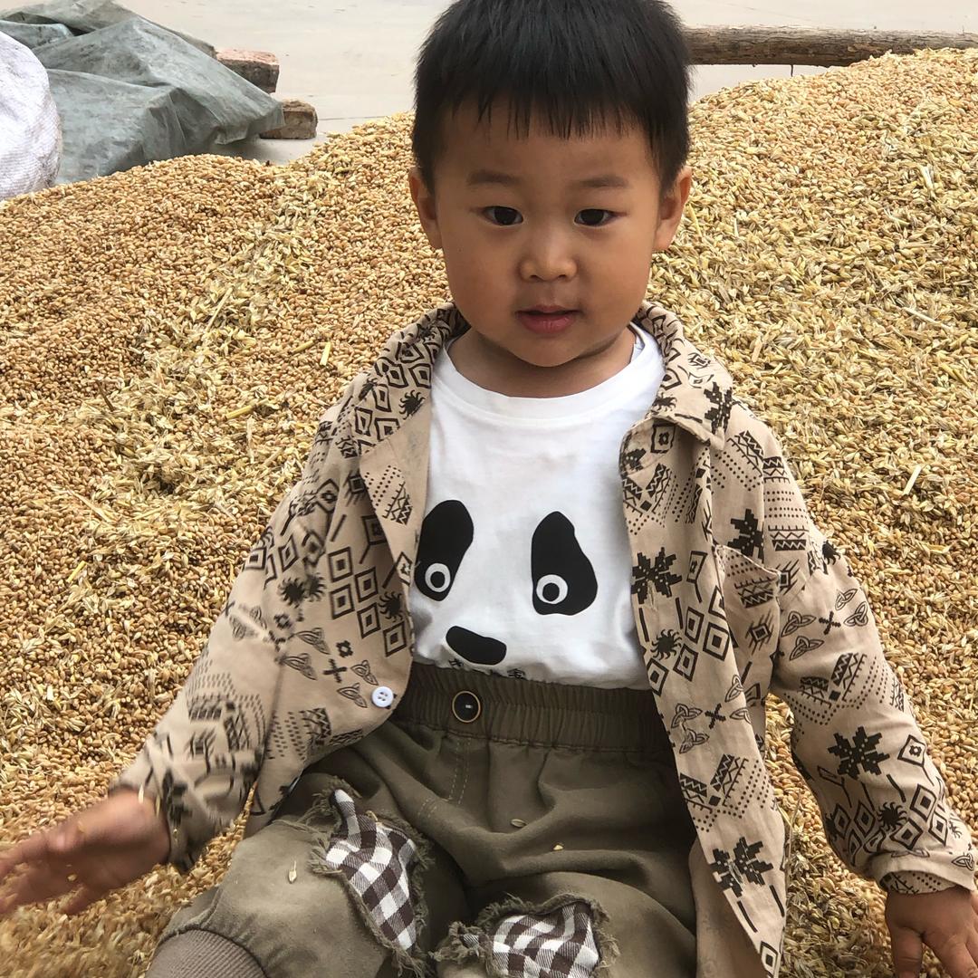 临潼·宁夏无烟煤张姐