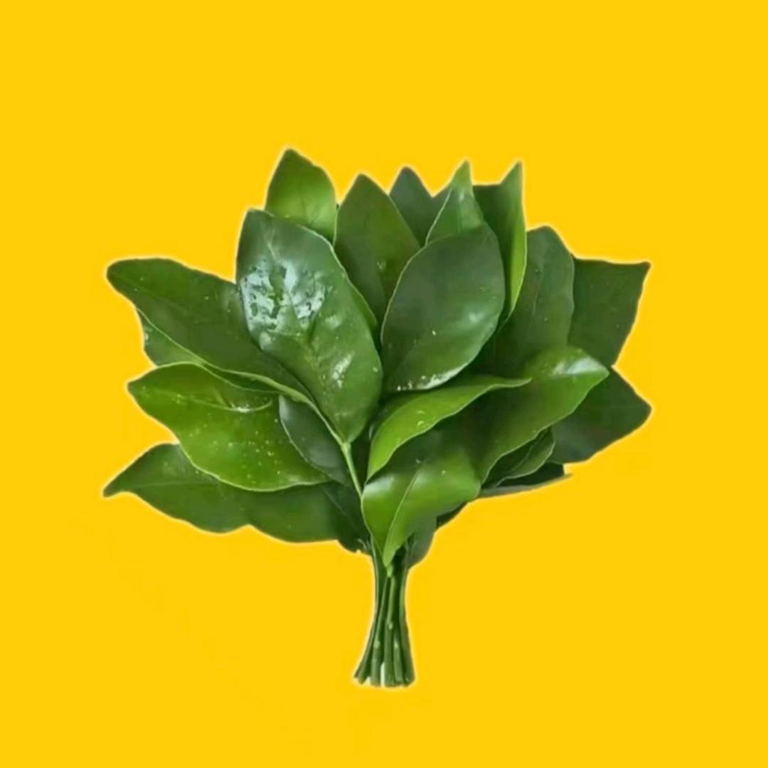 远方有你