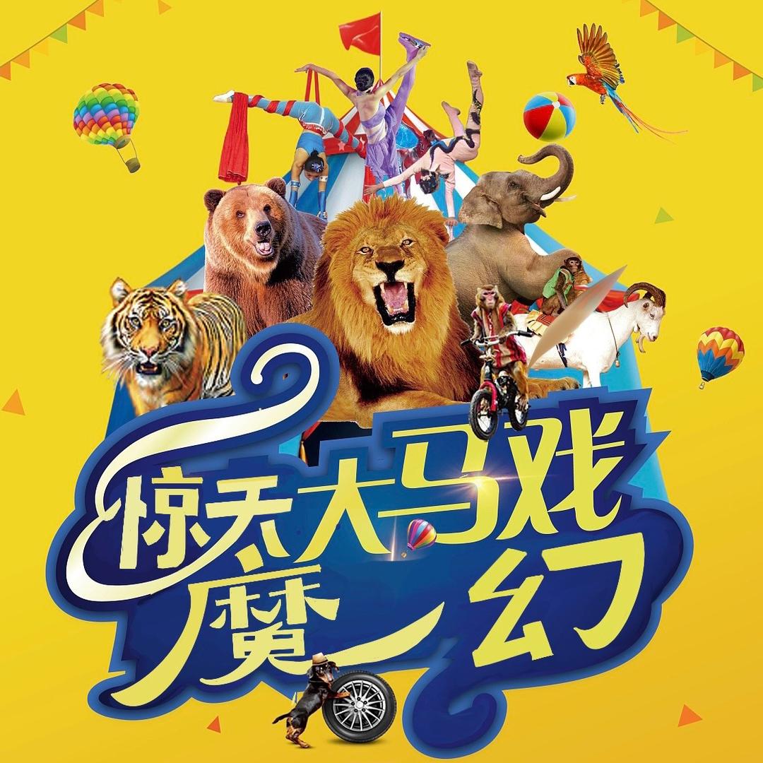 信阳万达广场大马戏
