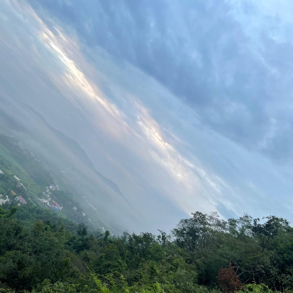 丿稀里糊涂大师