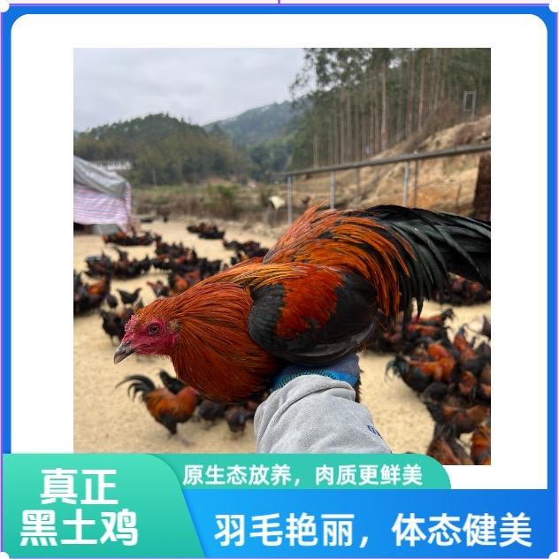 野林土味优品铺子