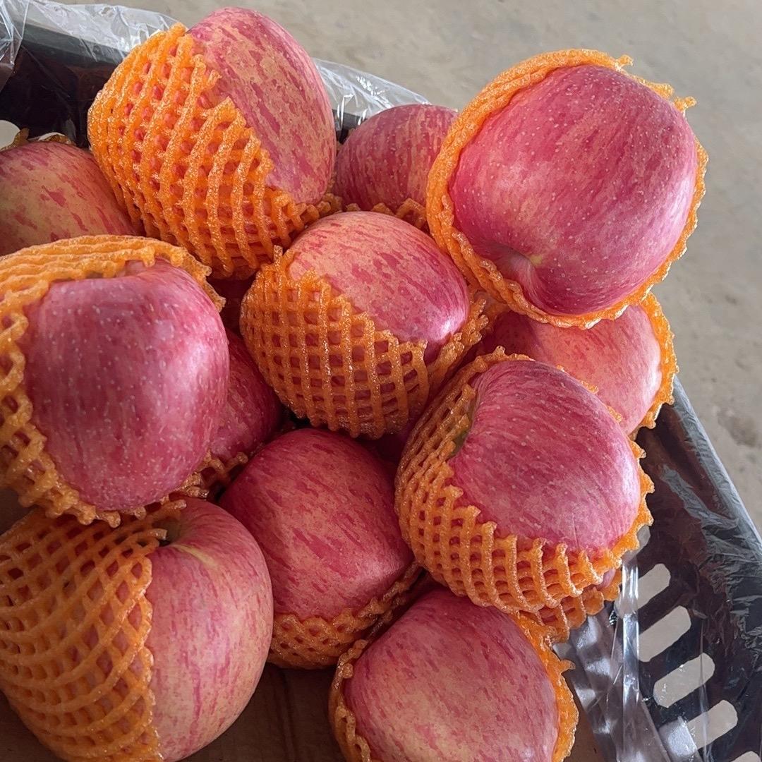 🍇水🍎果🍑🍒