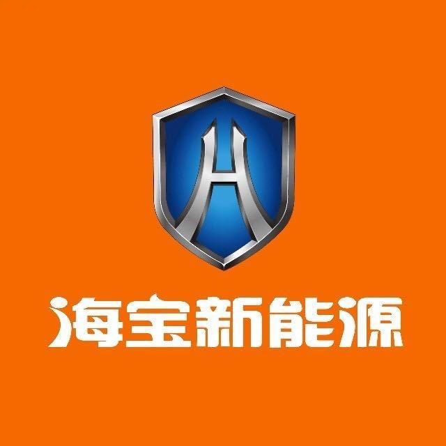 海宝新能源-潘集店