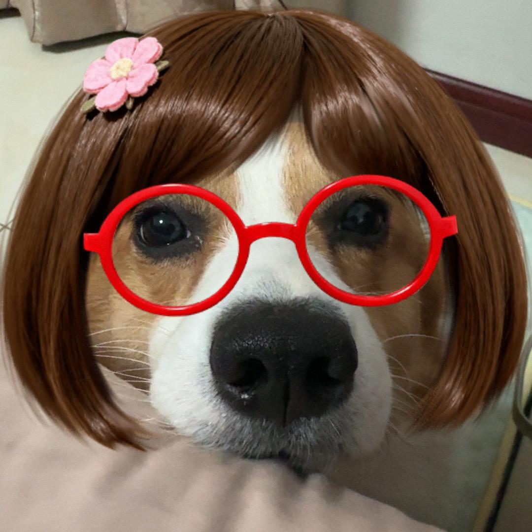 嘟油啦呜咪💕