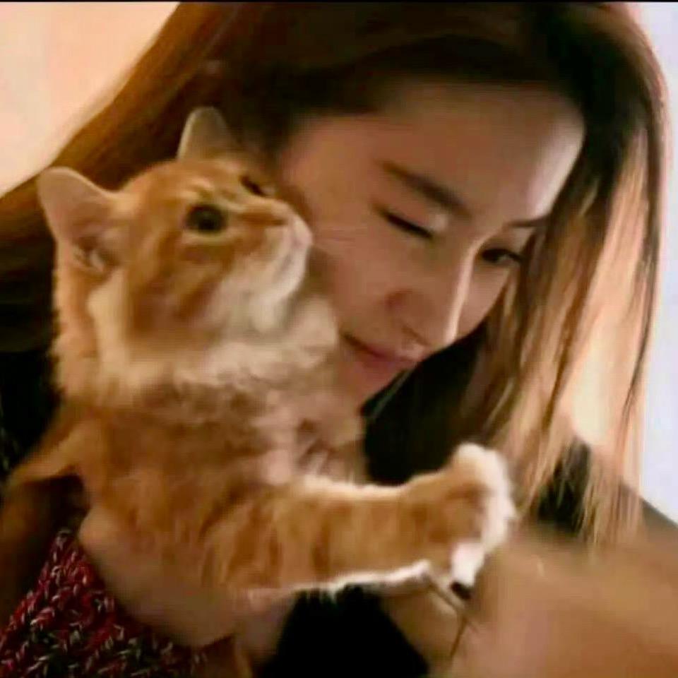 大脸猫。