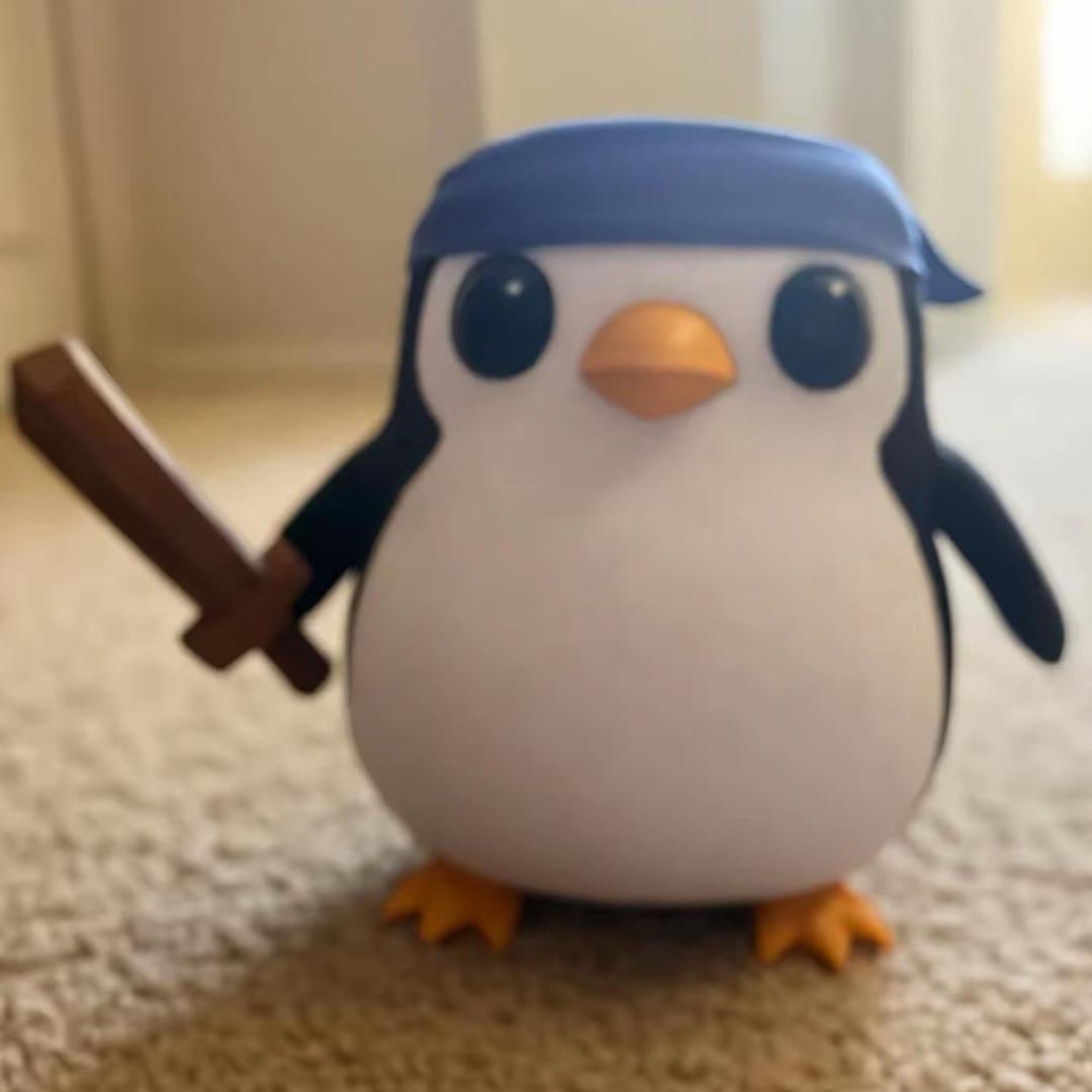小y