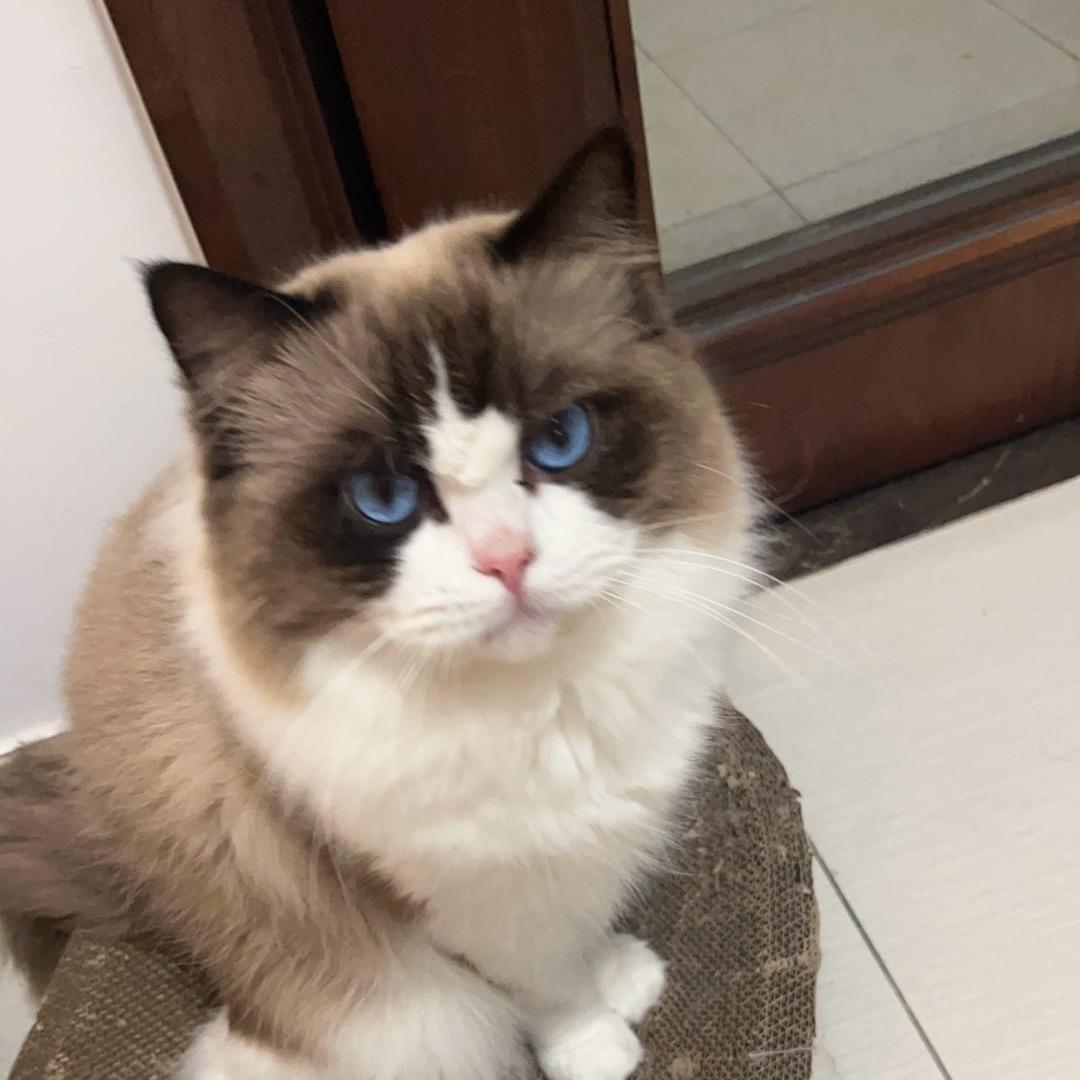 阿西