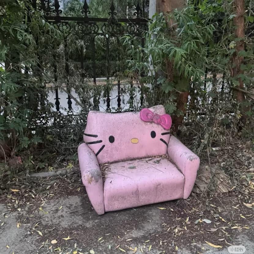 叁叁的发财日记