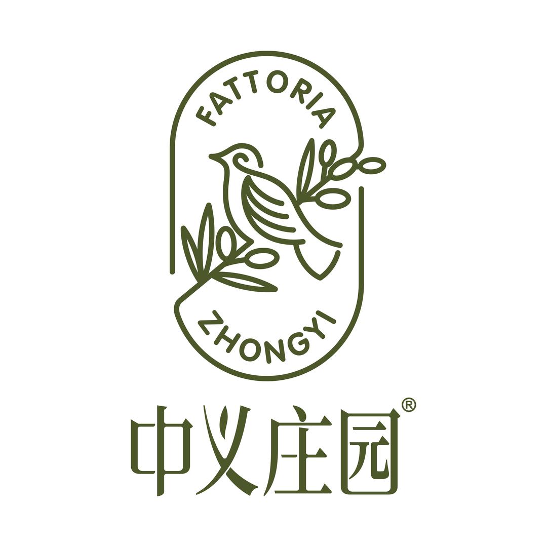 中义橄榄油 庄园种植直供