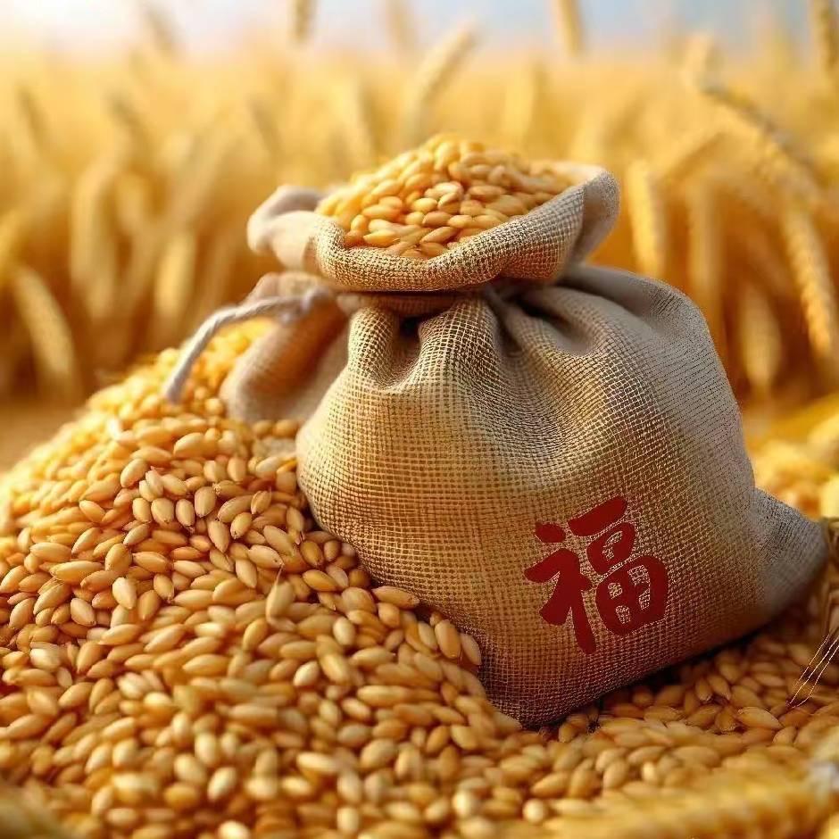 拾兄弟粗粮杂粮