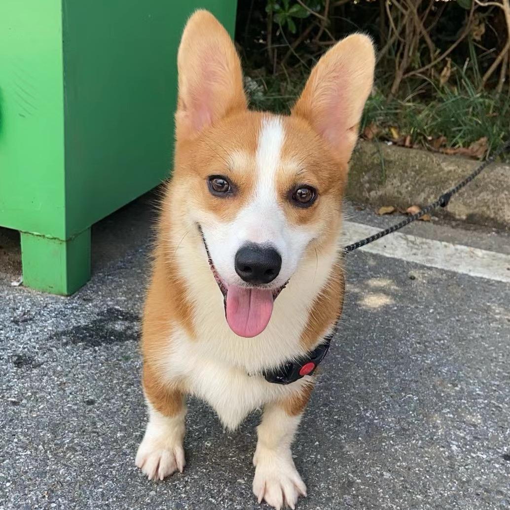 小喜雀棋牌室🎉