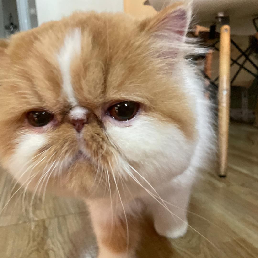 我爱的是你爱我