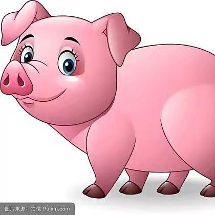 大军媳妇全国生猪调运