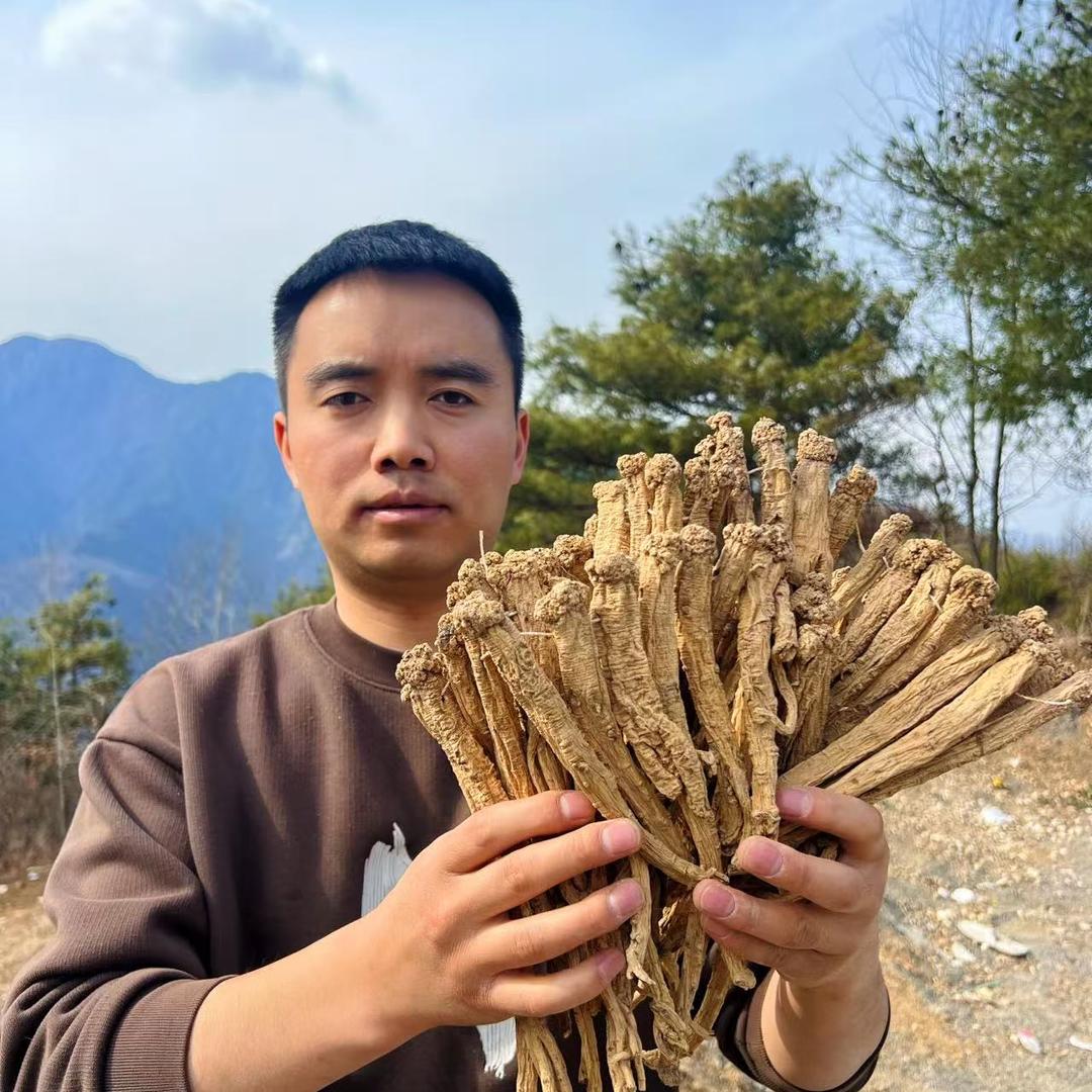 陇膳堂滋补旗舰店