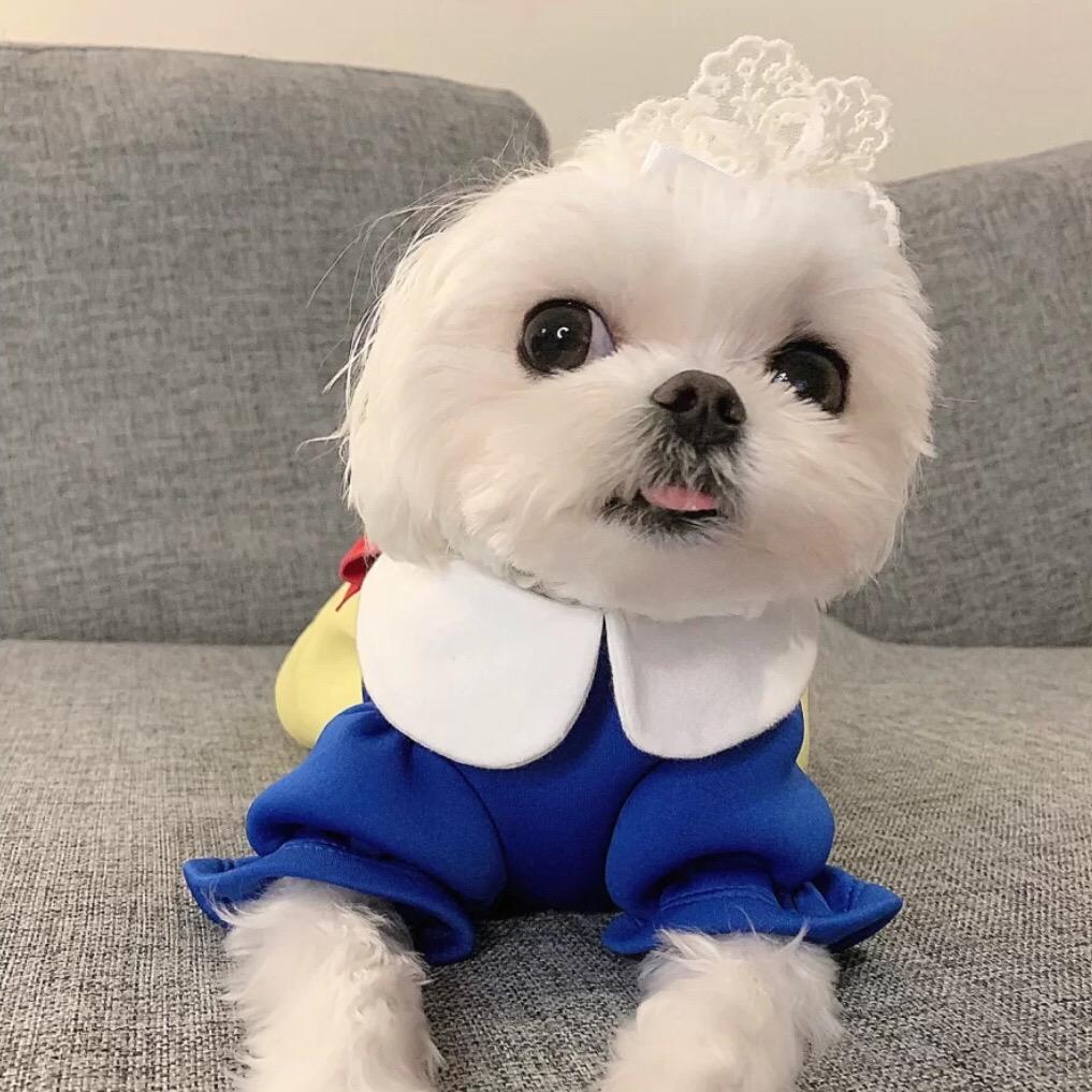 发财日记