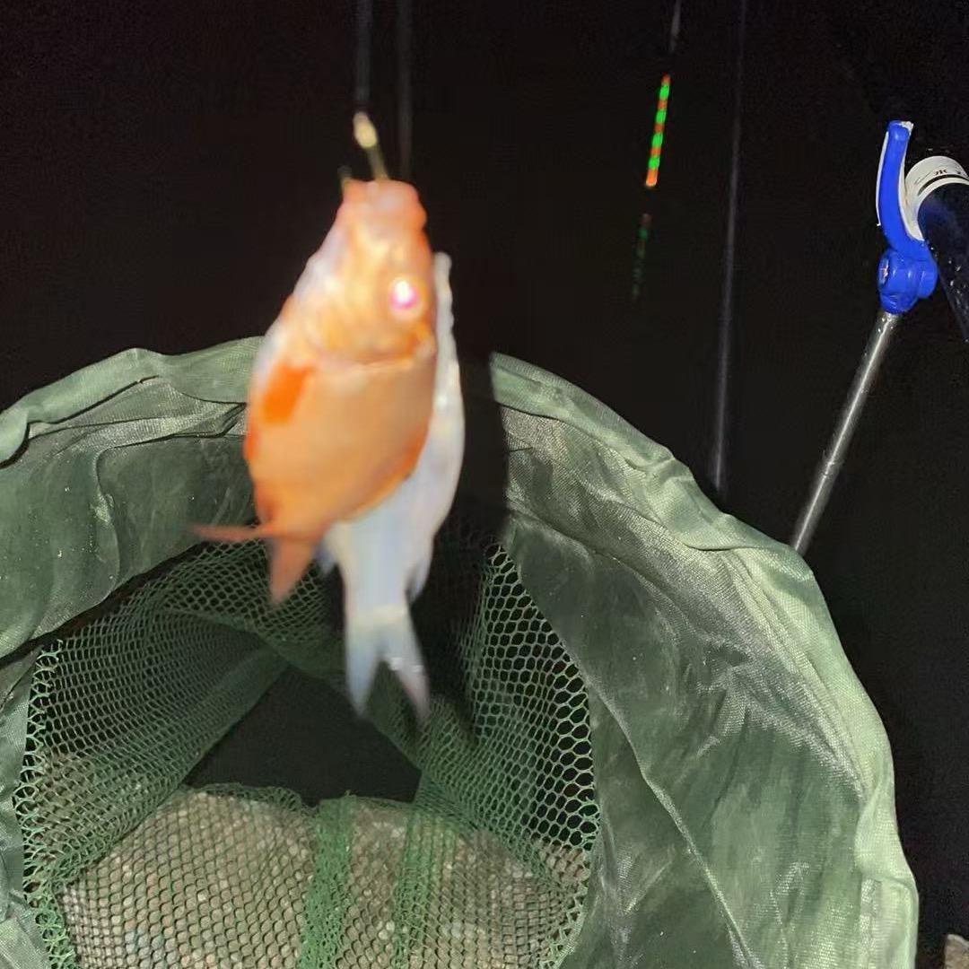 ◕‿◕空军夫人👧🏻