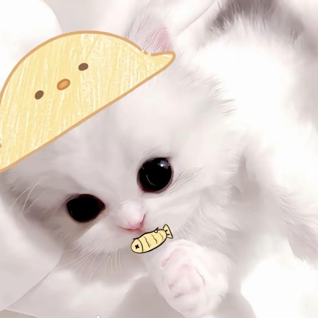 洈姝.