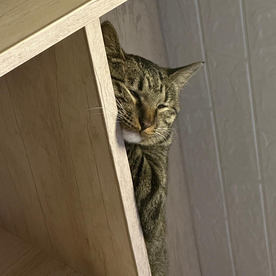 AAA东风导弹批发段总