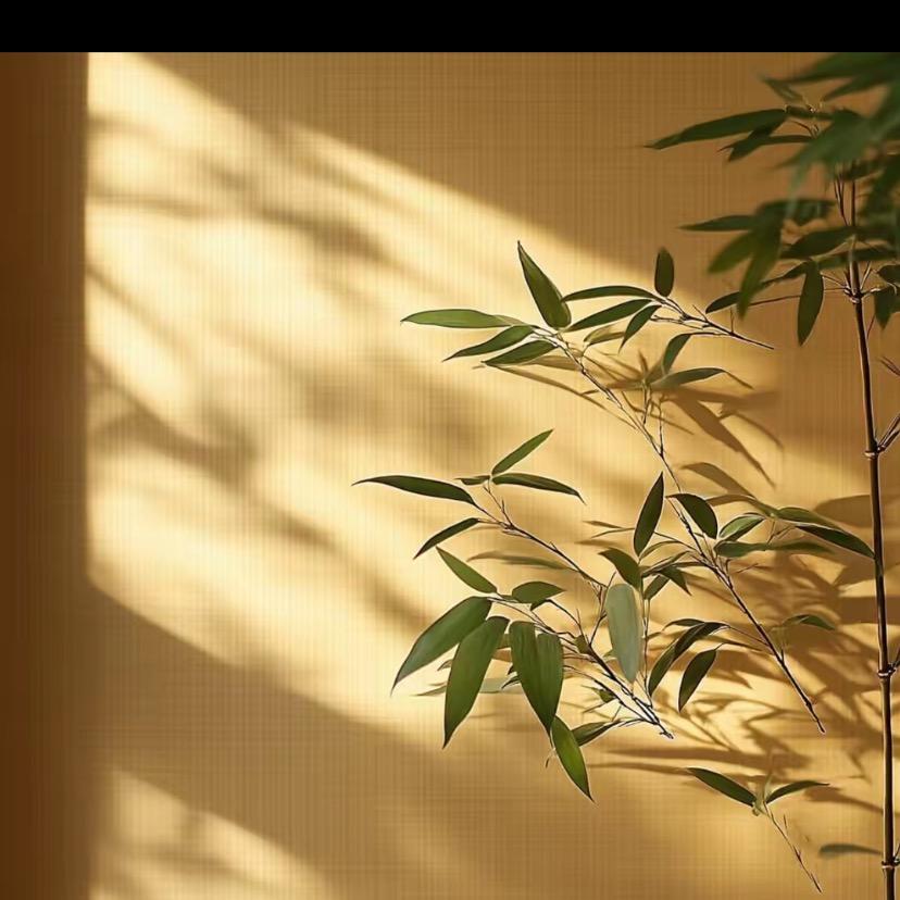人生智慧