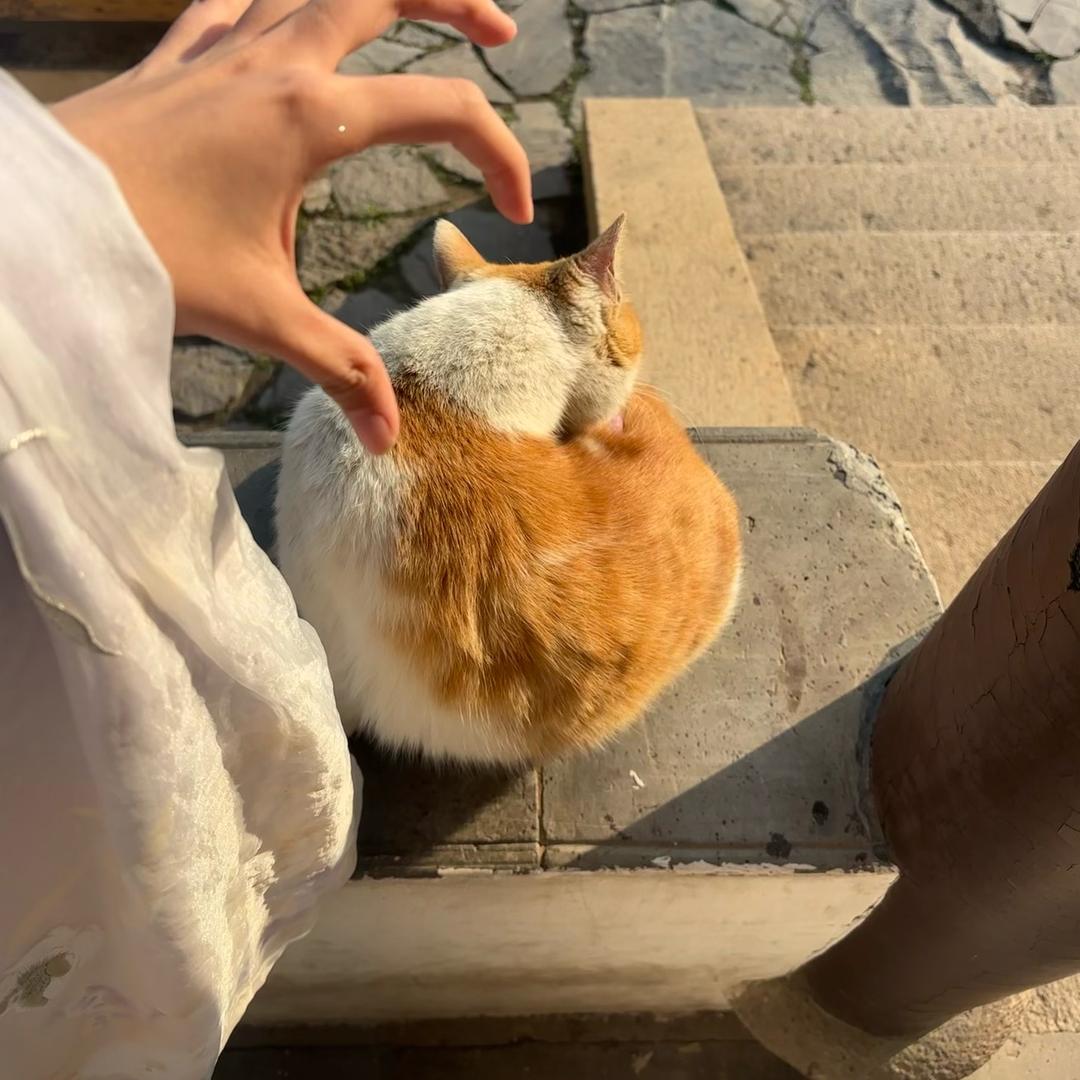 清蒸怡