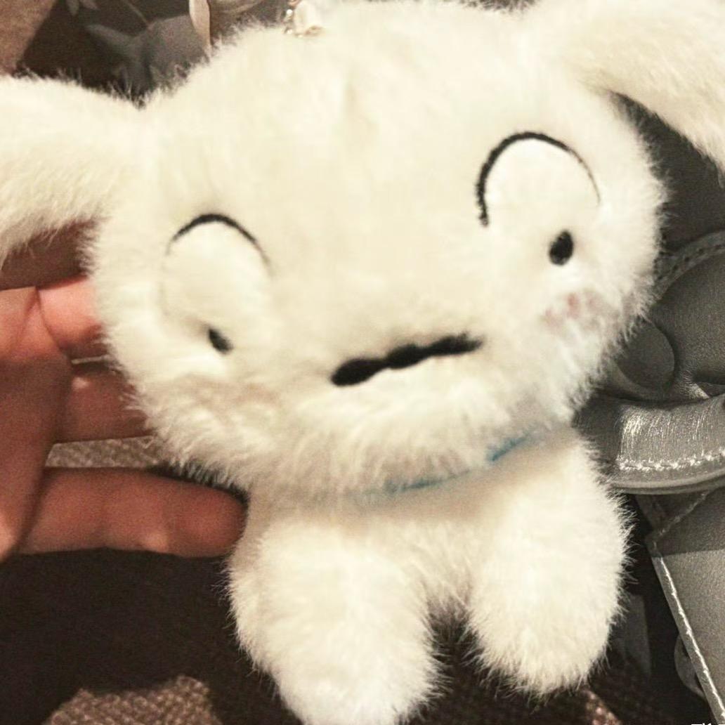 芝士猫猫