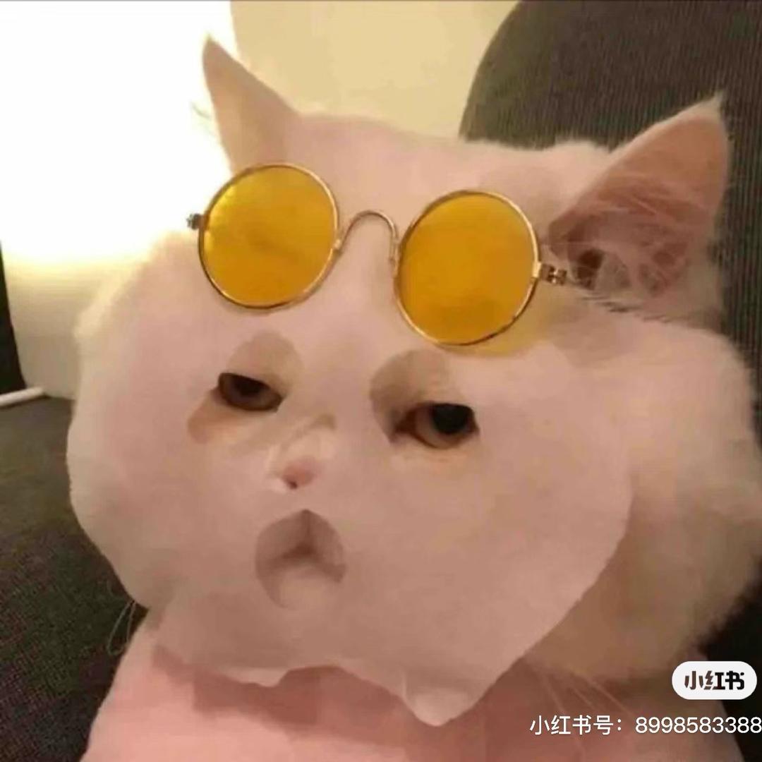 何需