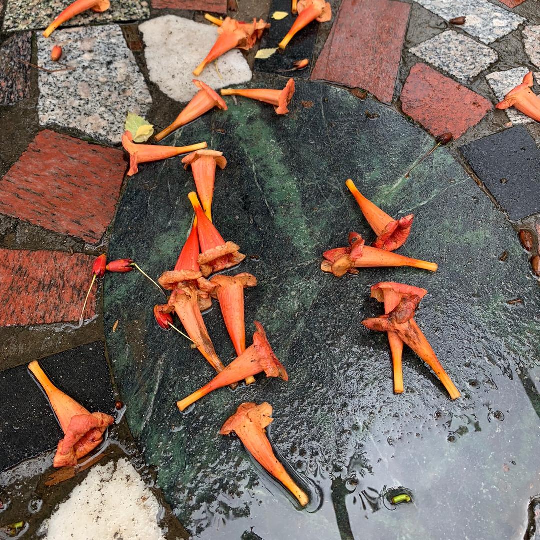 风雨战神