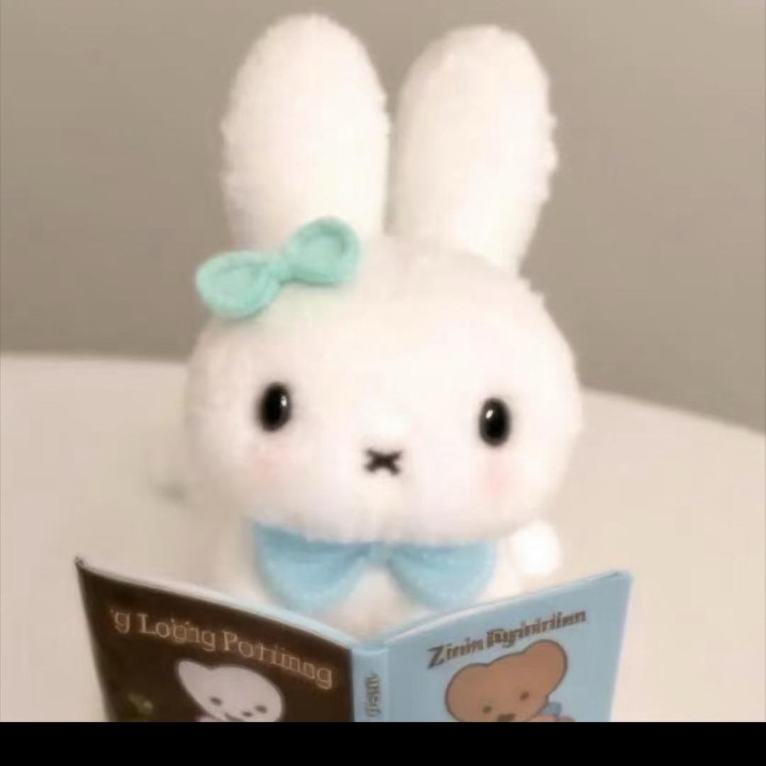 yy