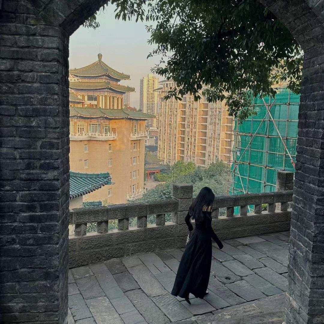 鲸落南北