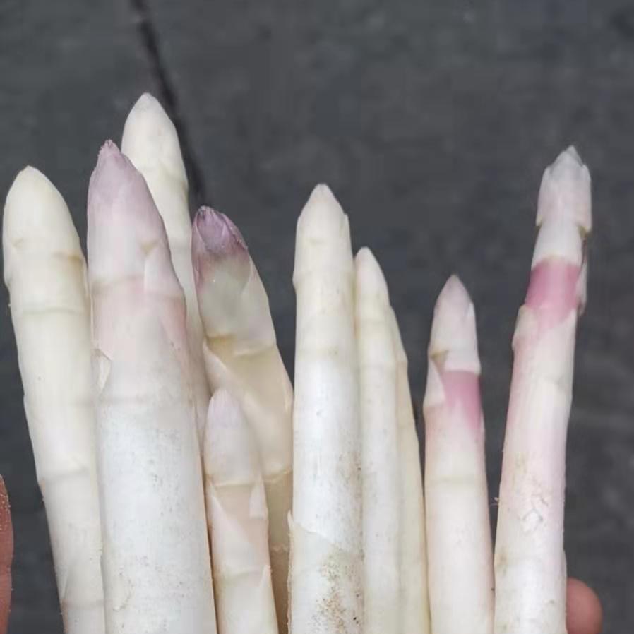 金金海鲜说