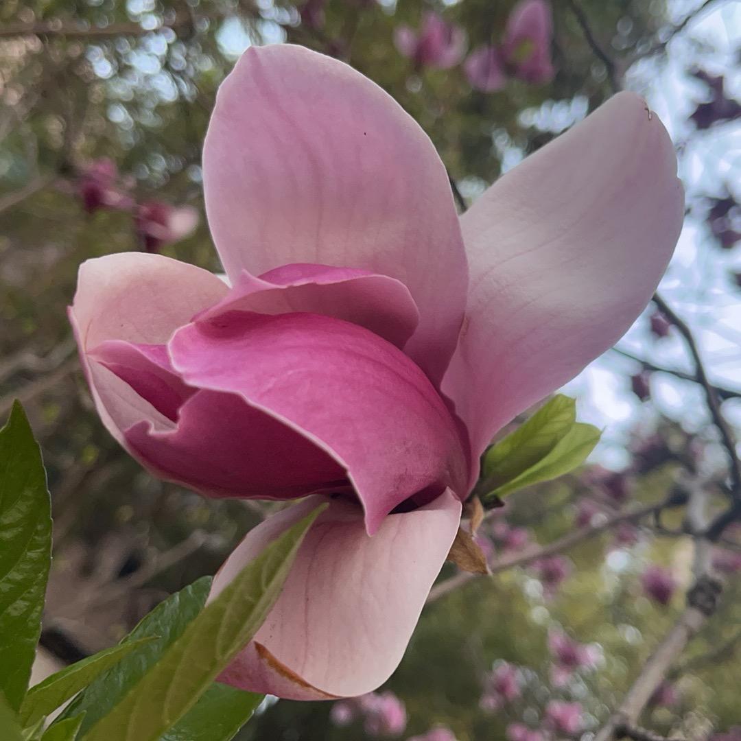 不在乎，于是乎！