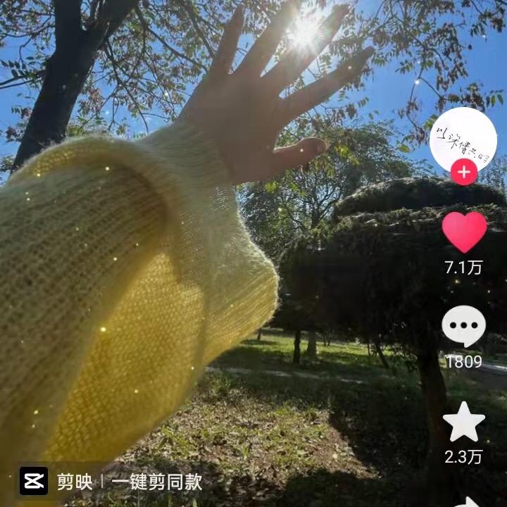 涛哥