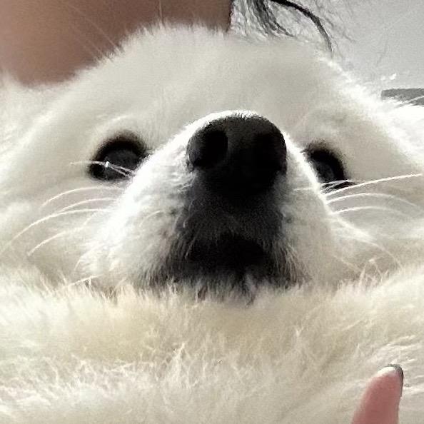 麦当劳薯饼好好吃