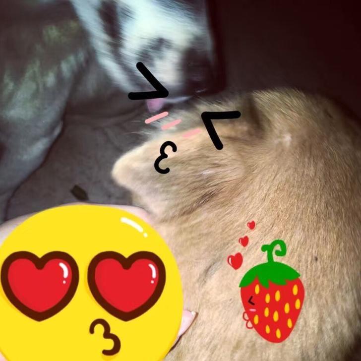 瓜🍉