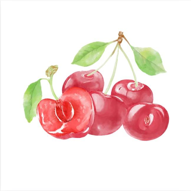 毅都精品水果4号