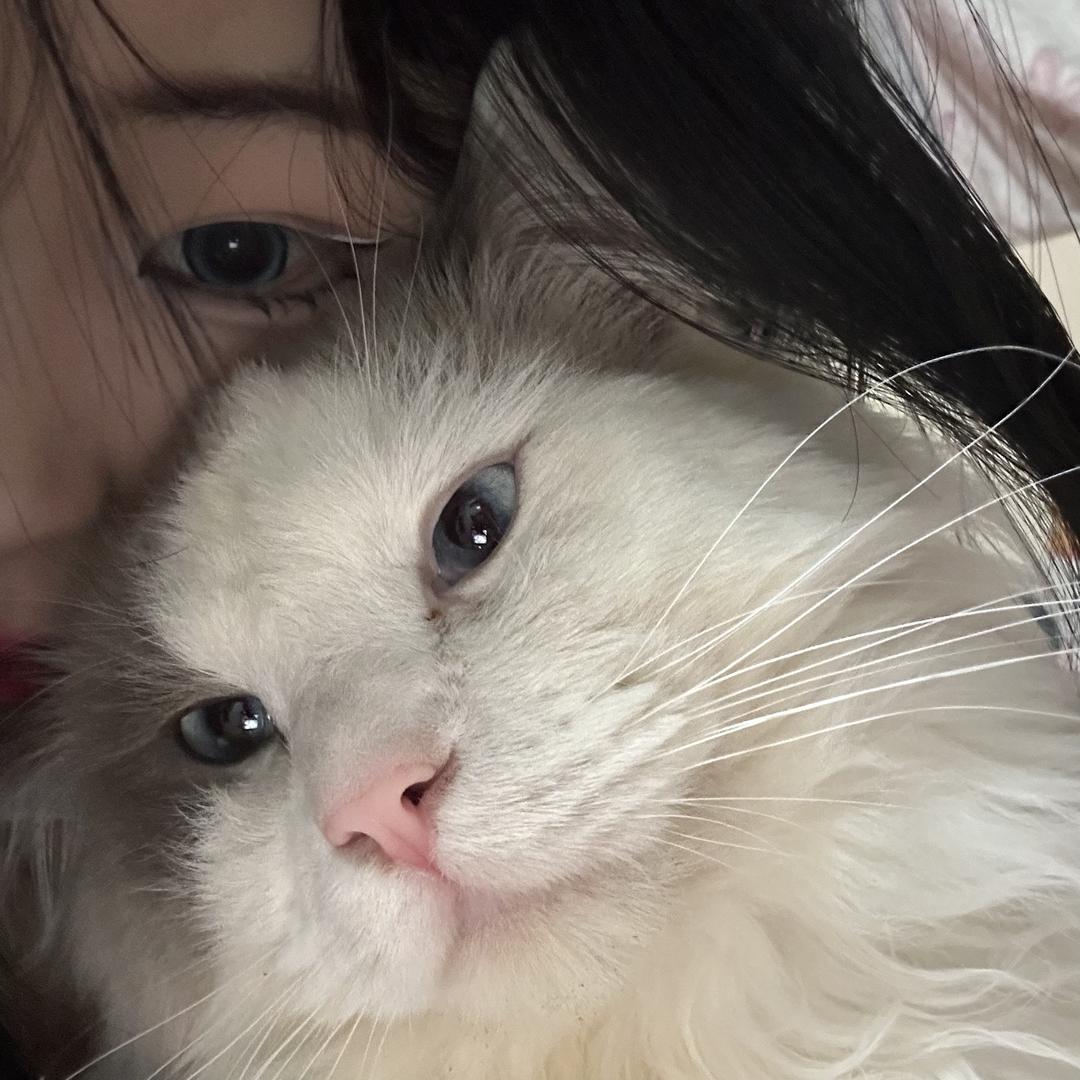 小熊成长日记📔