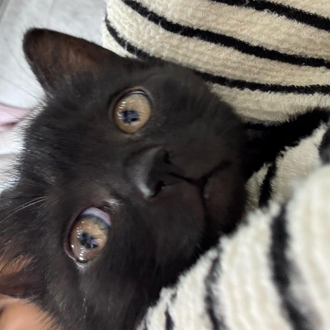 11（超级幸运版）