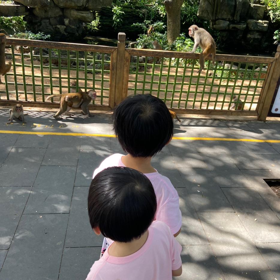 布兰妮的那个田