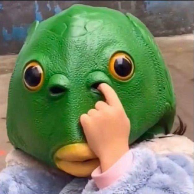 一坨少女噼里啪啦🐸 。