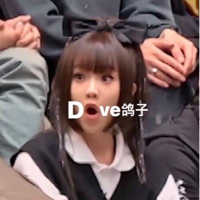 Dove鸽子(2025鸽巡版)