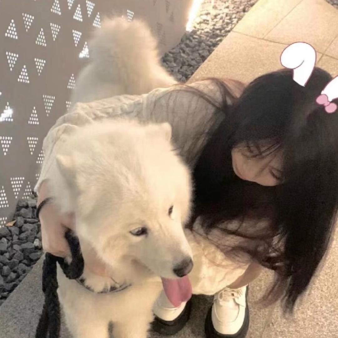 胖胖🐰