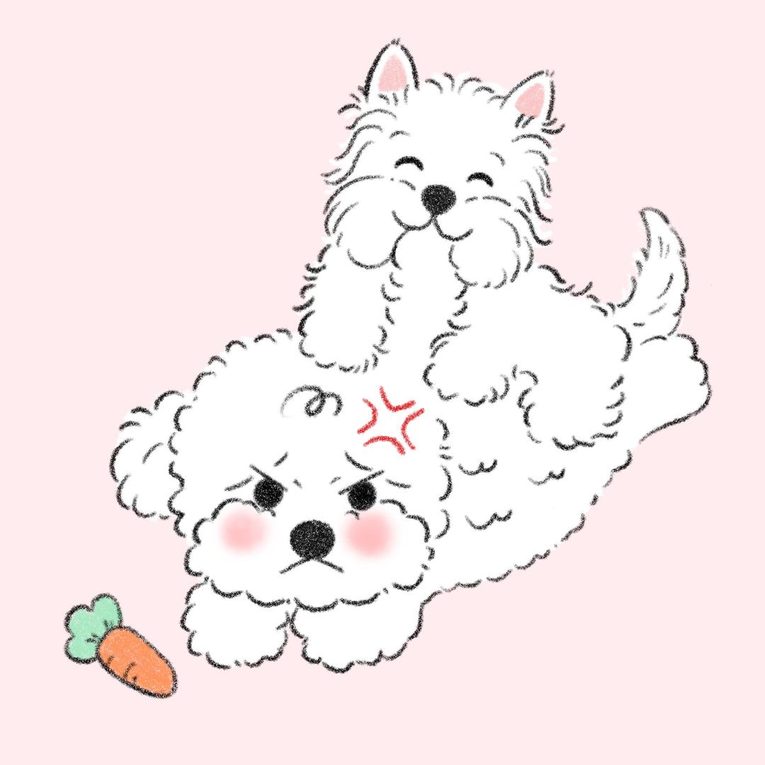 奶油是只比熊🥕