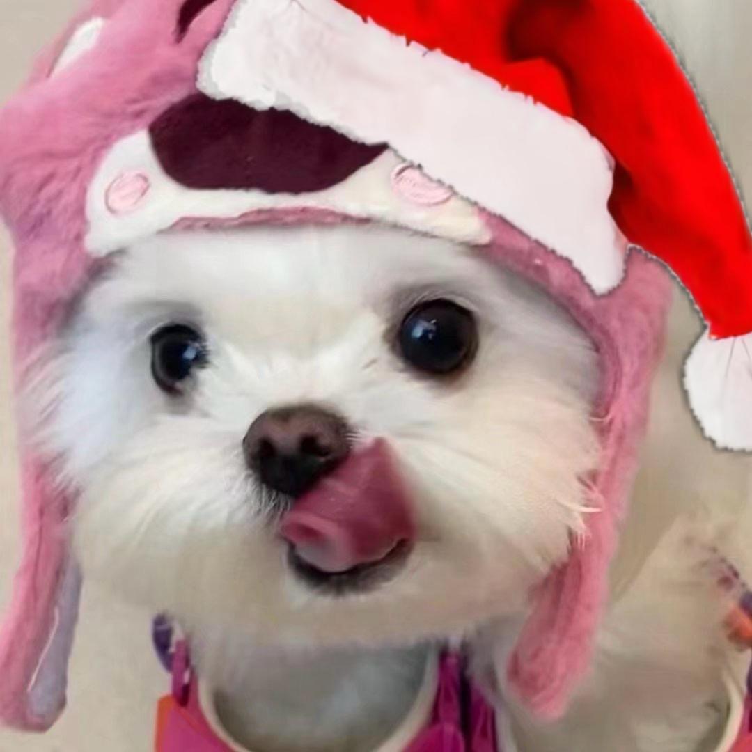 具象超越宿命论