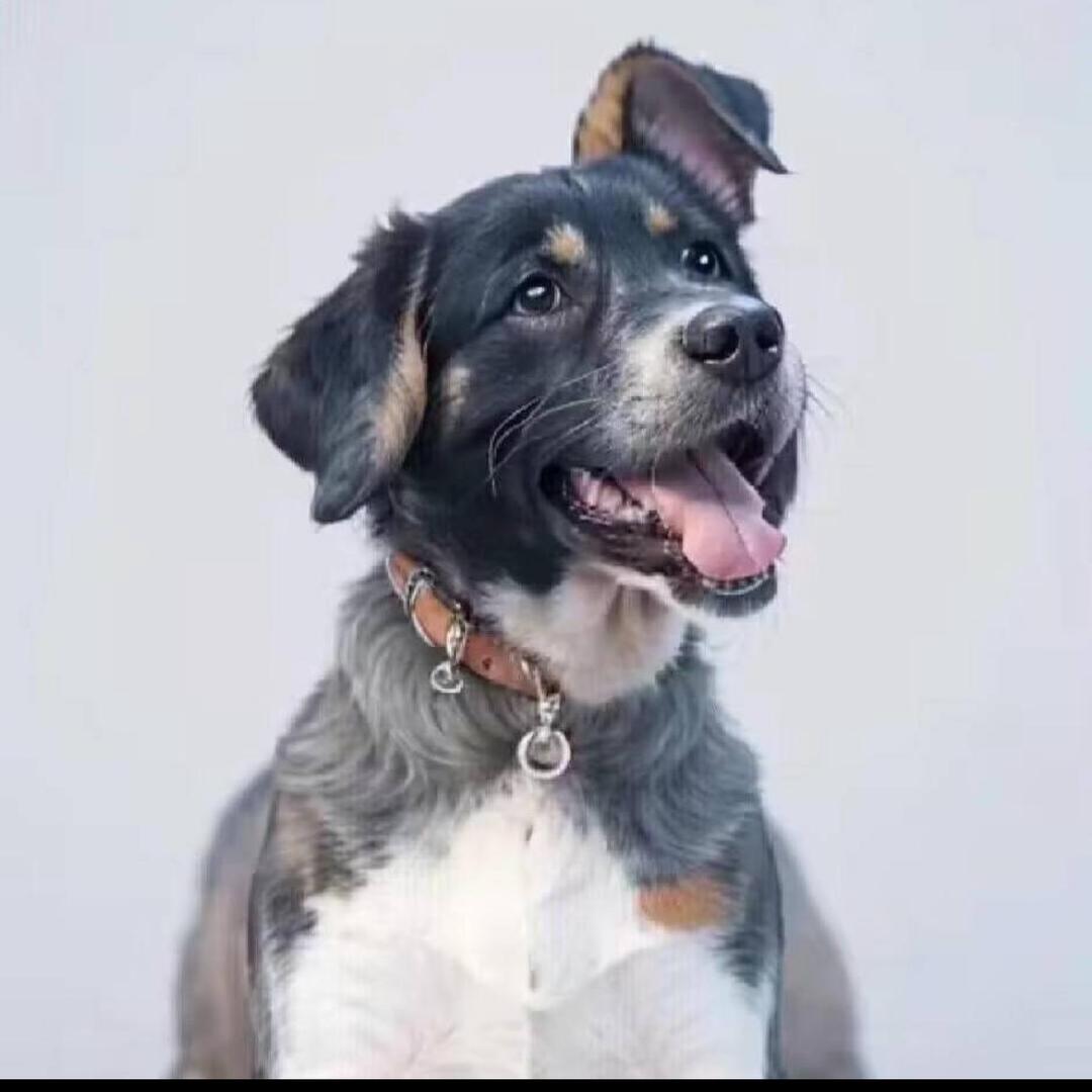 等你       　 　╲   　  ╭