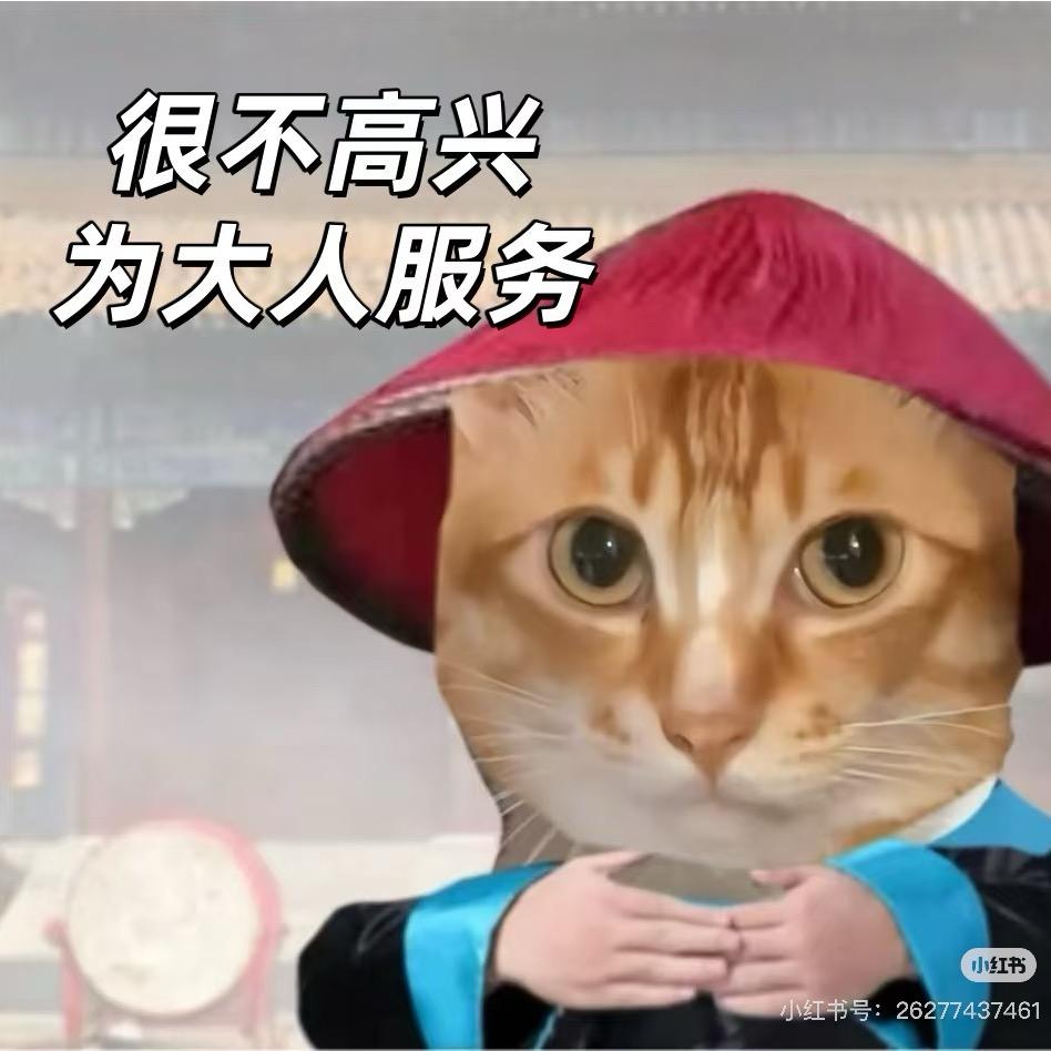 噜秃噜猪