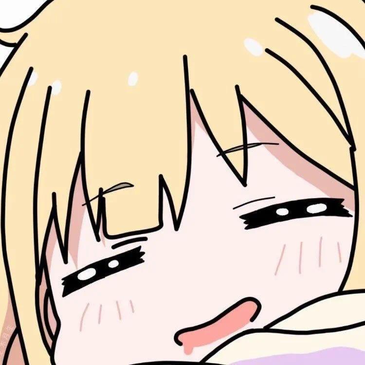 兔兔大王🐰