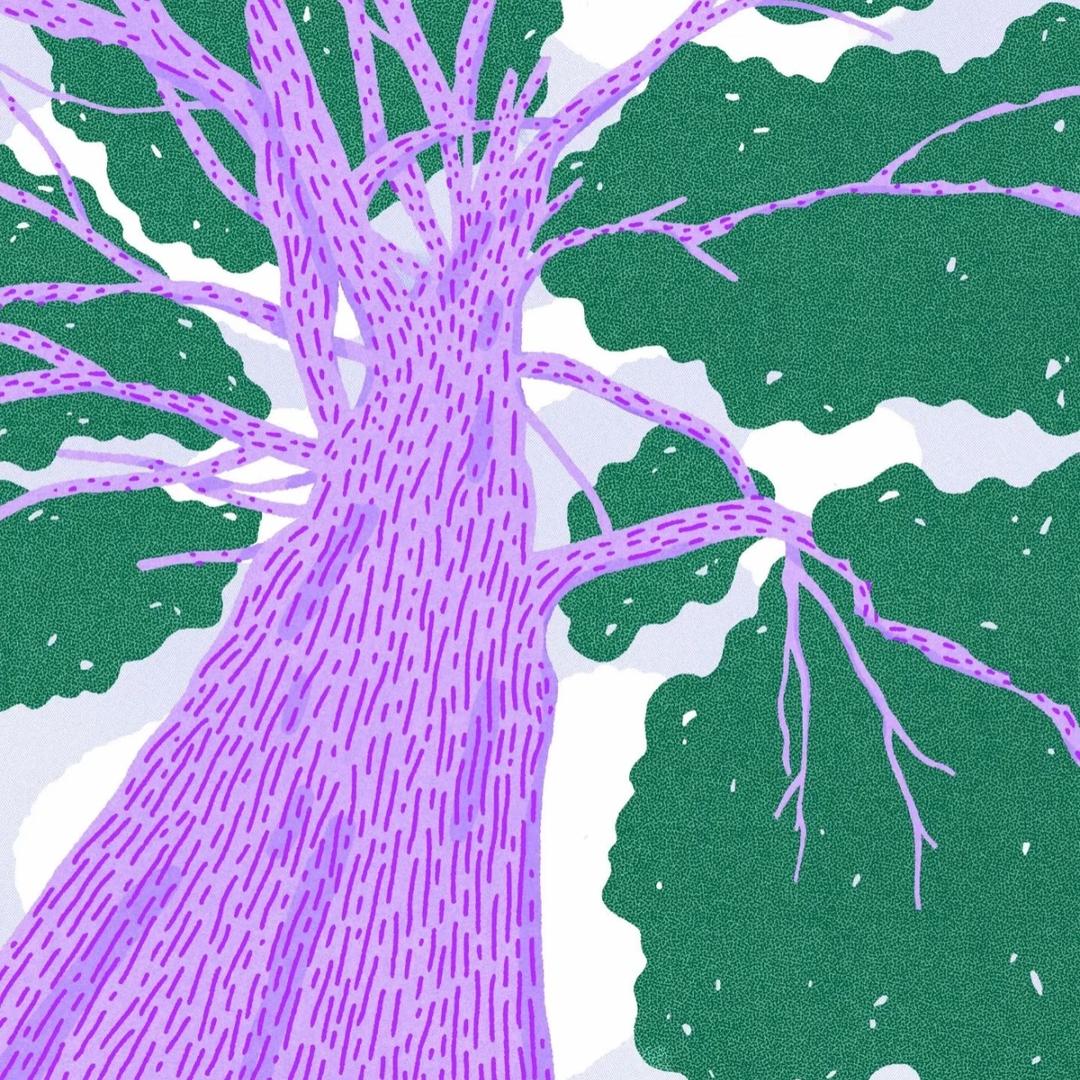 十点准时睡（三巡四巡见过鹿晗版）