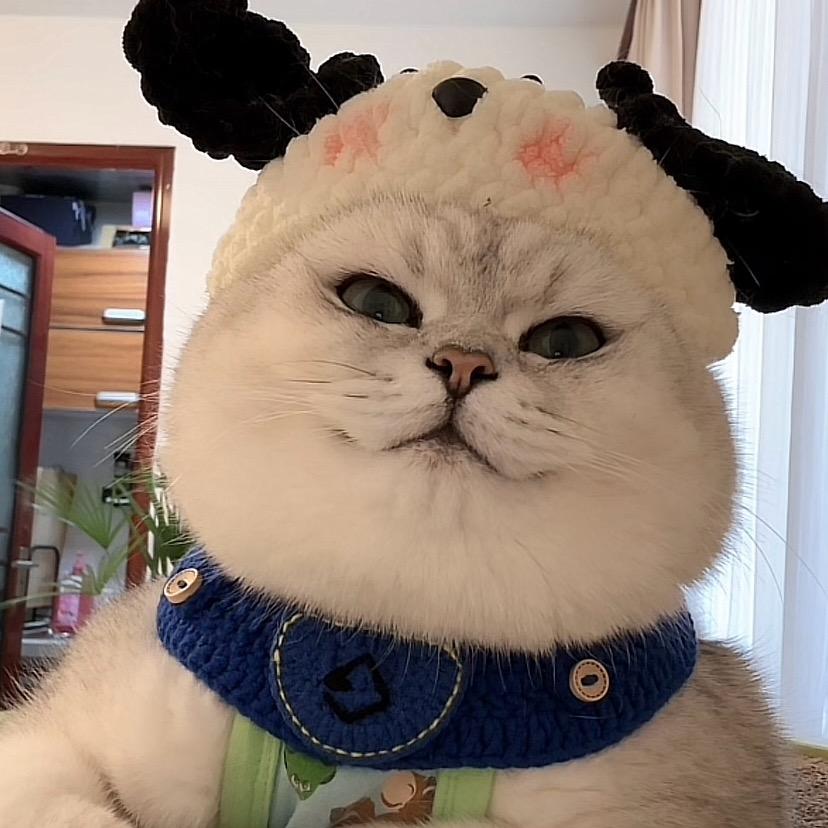 龙🌙