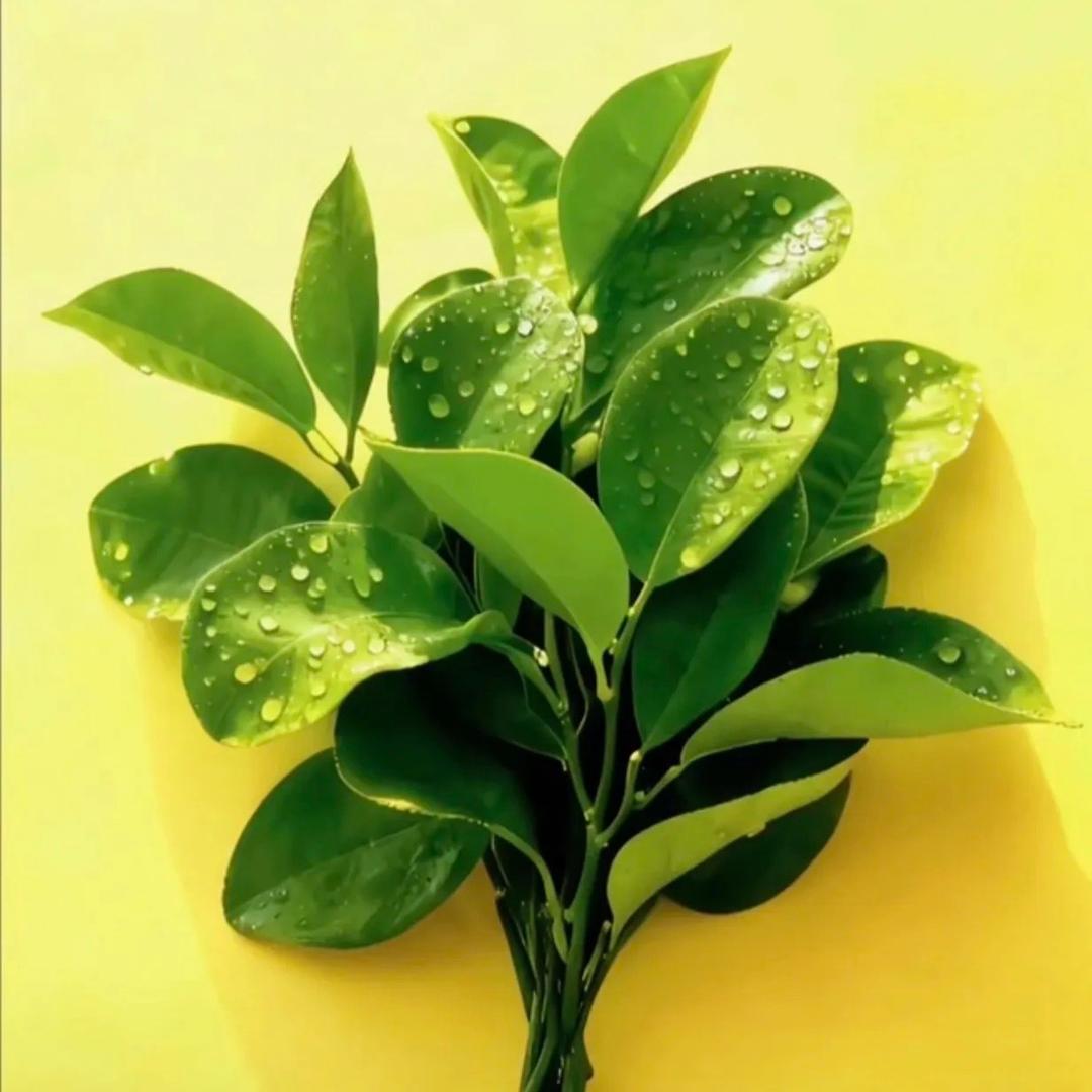 不瘦20斤不改名、