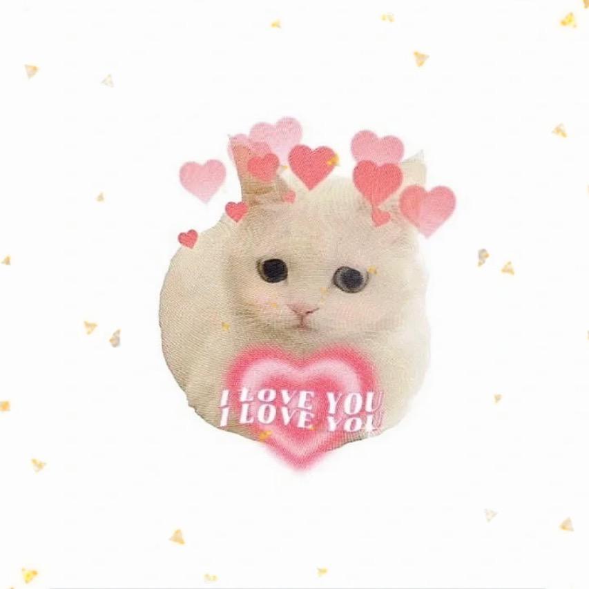 小猫咸菜